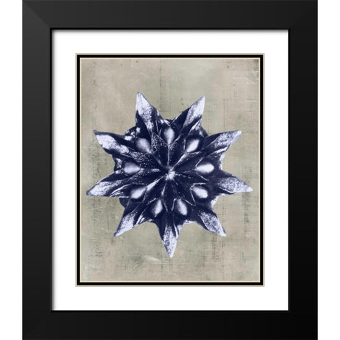 Blossfeldt Redeux VI Black Modern Wood Framed Art Print with Double Matting by Vision Studio