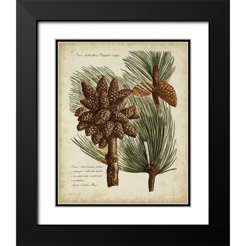 Antique Conifers I Black Modern Wood Framed Art Print with Double Matting by Fletcher, Henry