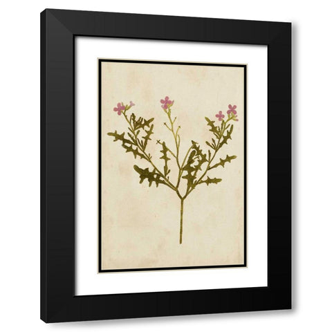 Botanical Impression IV Black Modern Wood Framed Art Print with Double Matting by Unkown