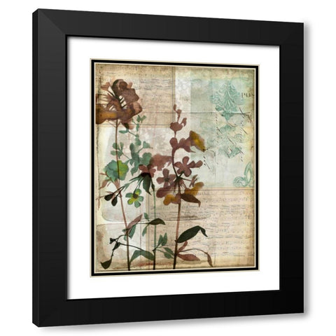 Music Box Floral I Black Modern Wood Framed Art Print with Double Matting by Goldberger, Jennifer