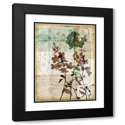 Music Box Floral II Black Modern Wood Framed Art Print with Double Matting by Goldberger, Jennifer