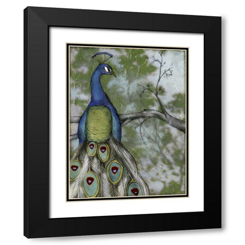 Peacock Reflections II Black Modern Wood Framed Art Print with Double Matting by Goldberger, Jennifer