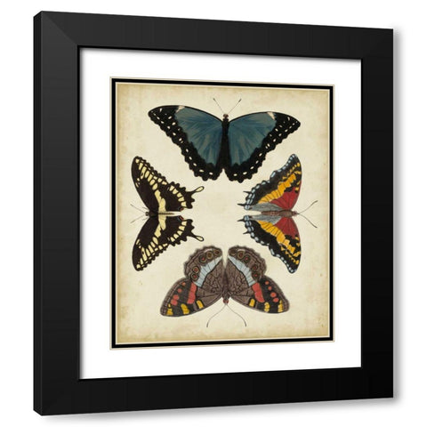 Display of Butterflies I Black Modern Wood Framed Art Print with Double Matting by Vision Studio