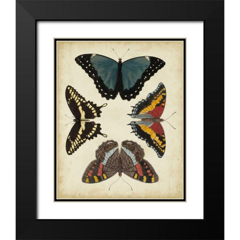 Display of Butterflies I Black Modern Wood Framed Art Print with Double Matting by Vision Studio