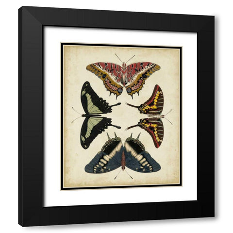 Display of Butterflies II Black Modern Wood Framed Art Print with Double Matting by Vision Studio