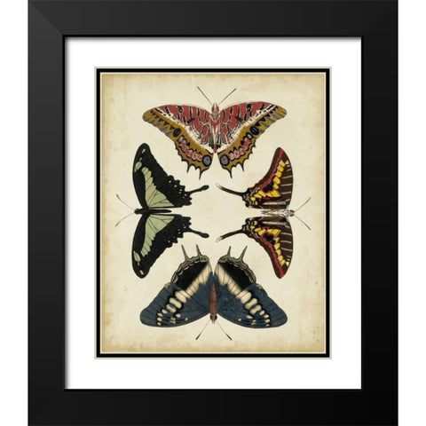 Display of Butterflies II Black Modern Wood Framed Art Print with Double Matting by Vision Studio