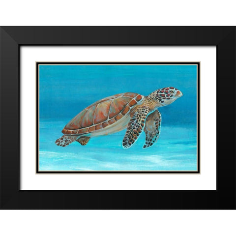 Ocean Sea Turtle I Black Modern Wood Framed Art Print with Double Matting by OToole, Tim