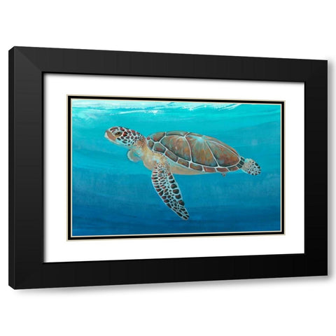 Ocean Sea Turtle II Black Modern Wood Framed Art Print with Double Matting by OToole, Tim