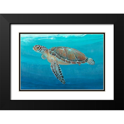 Ocean Sea Turtle II Black Modern Wood Framed Art Print with Double Matting by OToole, Tim