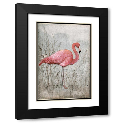 American Flamingo I Black Modern Wood Framed Art Print with Double Matting by OToole, Tim