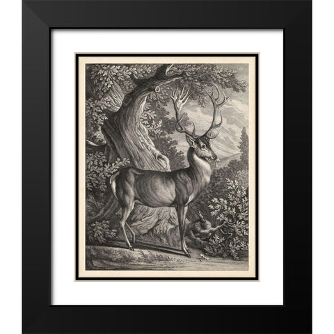 Woodland Deer I Black Modern Wood Framed Art Print with Double Matting by Ridinger
