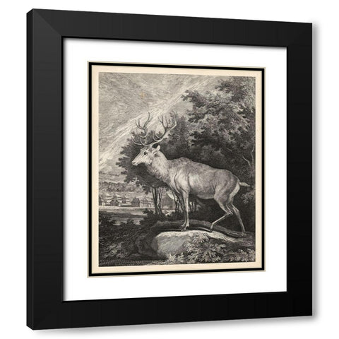 Woodland Deer II Black Modern Wood Framed Art Print with Double Matting by Ridinger