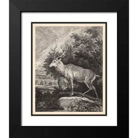 Woodland Deer II Black Modern Wood Framed Art Print with Double Matting by Ridinger