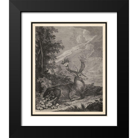 Woodland Deer III Black Modern Wood Framed Art Print with Double Matting by Ridinger