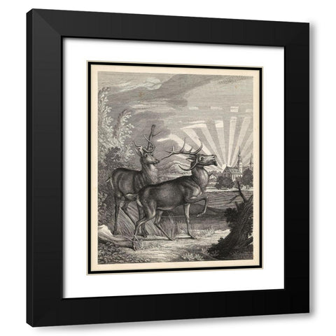 Woodland Deer V Black Modern Wood Framed Art Print with Double Matting by Ridinger