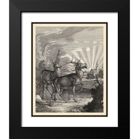 Woodland Deer V Black Modern Wood Framed Art Print with Double Matting by Ridinger