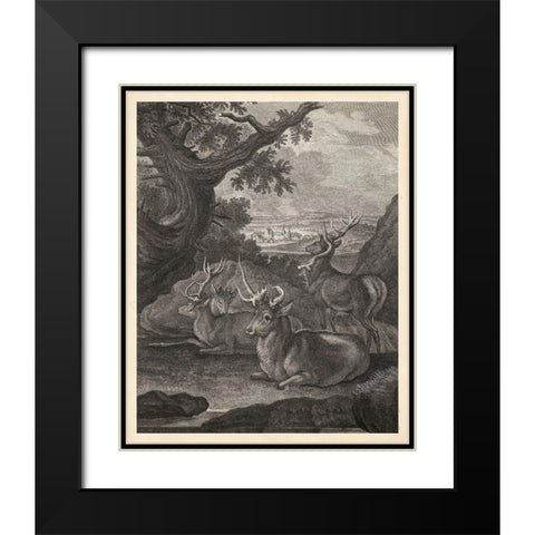 Woodland Deer VI Black Modern Wood Framed Art Print with Double Matting by Ridinger