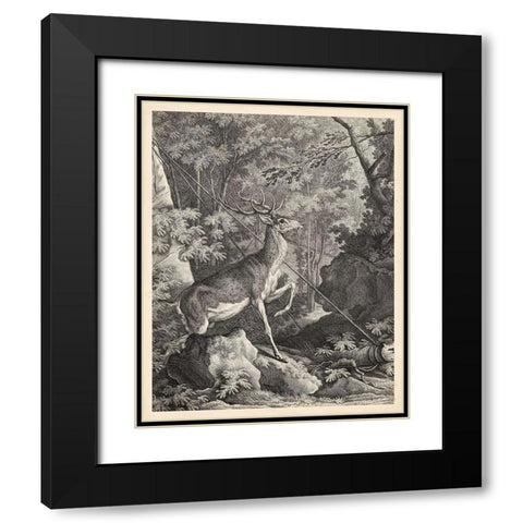 Woodland Deer VII Black Modern Wood Framed Art Print with Double Matting by Ridinger