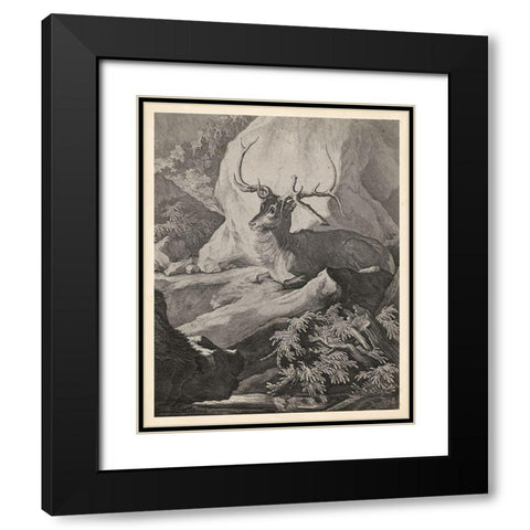 Woodland Deer VIII Black Modern Wood Framed Art Print with Double Matting by Ridinger