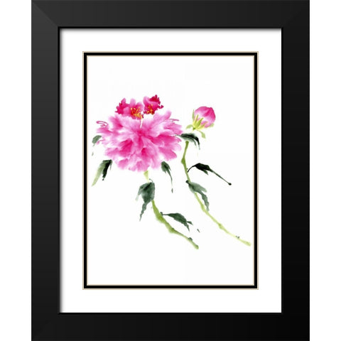 Peonies in Pink IV Black Modern Wood Framed Art Print with Double Matting by Parker, Nan Rae