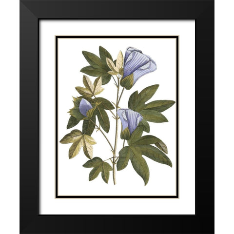 Lavender Floral II Black Modern Wood Framed Art Print with Double Matting by Vision Studio