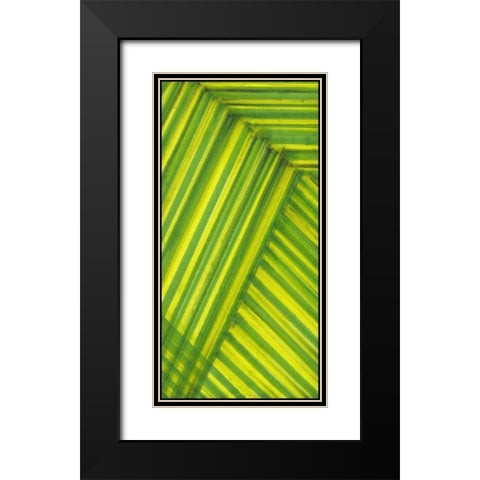 Line Study Green Black Modern Wood Framed Art Print with Double Matting by McMullen, Charles