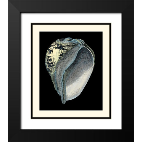 Treasures of the Sea VI Black Modern Wood Framed Art Print with Double Matting by Redoute, Pierre