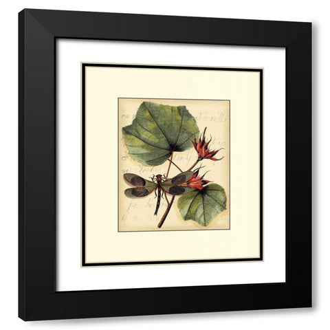 Petite Dragonflies I Black Modern Wood Framed Art Print with Double Matting by Vision Studio