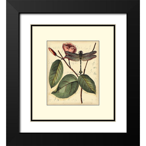 Petite Dragonflies IV Black Modern Wood Framed Art Print with Double Matting by Vision Studio