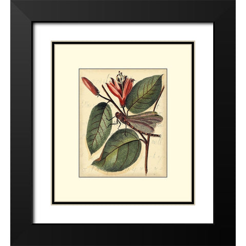 Petite Dragonflies V Black Modern Wood Framed Art Print with Double Matting by Vision Studio