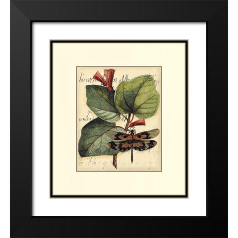 Petite Dragonflies VI Black Modern Wood Framed Art Print with Double Matting by Vision Studio