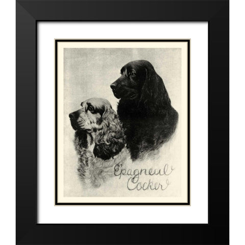B and W Epagneul Cocker Black Modern Wood Framed Art Print with Double Matting by Vision Studio