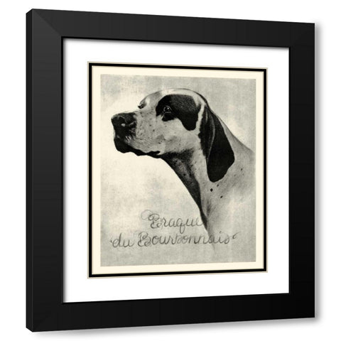B and W Brague du Bourbonnais Black Modern Wood Framed Art Print with Double Matting by Vision Studio
