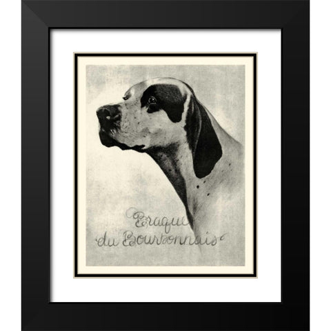 B and W Brague du Bourbonnais Black Modern Wood Framed Art Print with Double Matting by Vision Studio