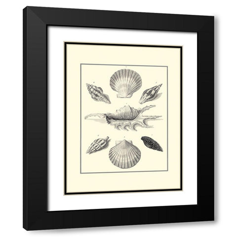 BW Studies in Symmetry I Black Modern Wood Framed Art Print with Double Matting by Knorr