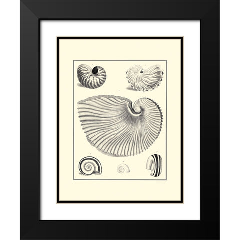 BW Studies in Symmetry II Black Modern Wood Framed Art Print with Double Matting by Knorr