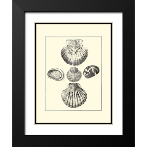 BW Studies in Symmetry V Black Modern Wood Framed Art Print with Double Matting by Knorr
