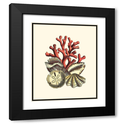 Coral Medley II Black Modern Wood Framed Art Print with Double Matting by Vision Studio