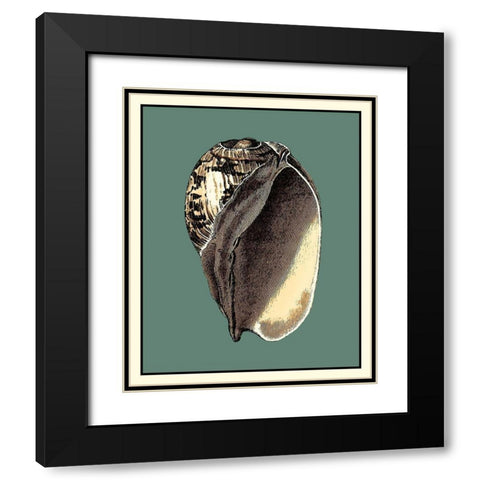 Oceans Treasure II Black Modern Wood Framed Art Print with Double Matting by Vision Studio