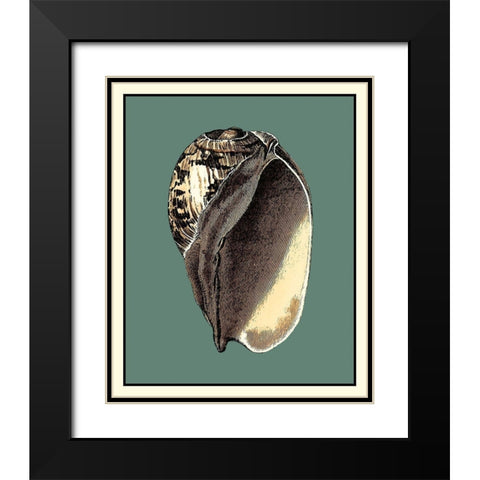 Oceans Treasure II Black Modern Wood Framed Art Print with Double Matting by Vision Studio