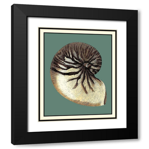 Oceans Treasure III Black Modern Wood Framed Art Print with Double Matting by Vision Studio