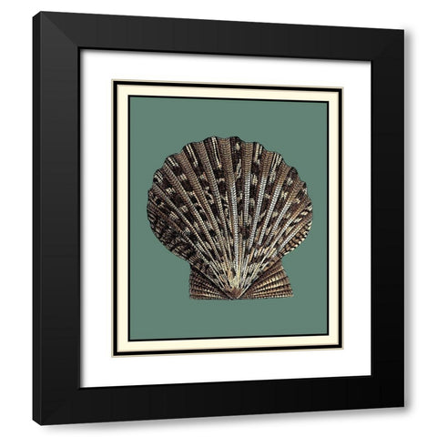 Oceans Treasure IV Black Modern Wood Framed Art Print with Double Matting by Vision Studio