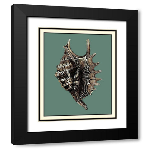 Oceans Treasure V Black Modern Wood Framed Art Print with Double Matting by Vision Studio