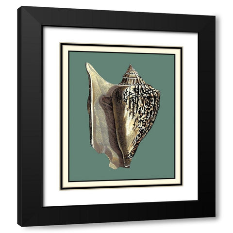 Oceans Treasure VI Black Modern Wood Framed Art Print with Double Matting by Vision Studio
