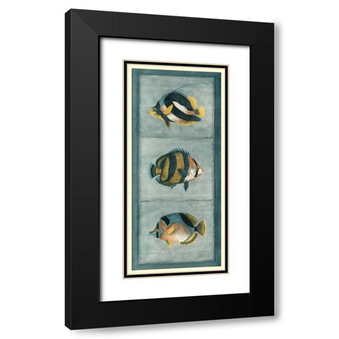 Tropical Fish Trio II Black Modern Wood Framed Art Print with Double Matting by Vision Studio