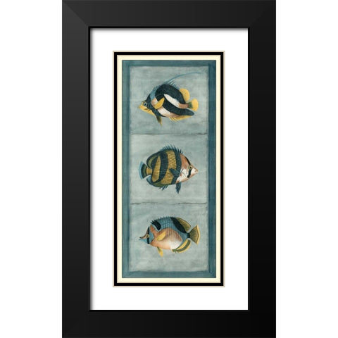 Tropical Fish Trio II Black Modern Wood Framed Art Print with Double Matting by Vision Studio