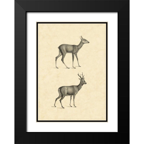 Vintage Deer I Black Modern Wood Framed Art Print with Double Matting by Vision Studio