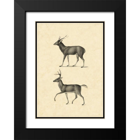 Vintage Deer II Black Modern Wood Framed Art Print with Double Matting by Vision Studio