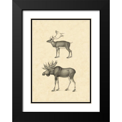 Vintage Elk Black Modern Wood Framed Art Print with Double Matting by Vision Studio