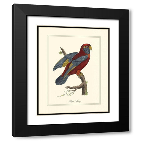 Raja Lory Black Modern Wood Framed Art Print with Double Matting by Edwards, George